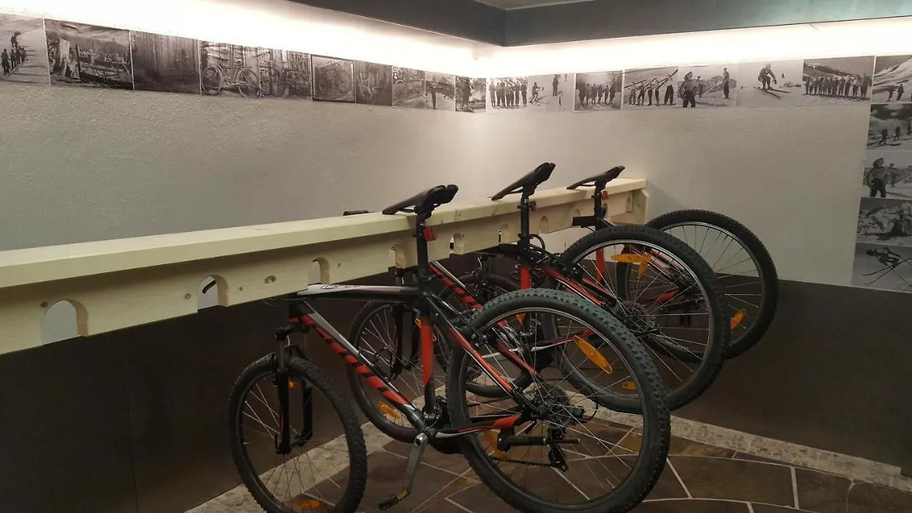 ***  Alp Art Hotel Гётценс Австрия